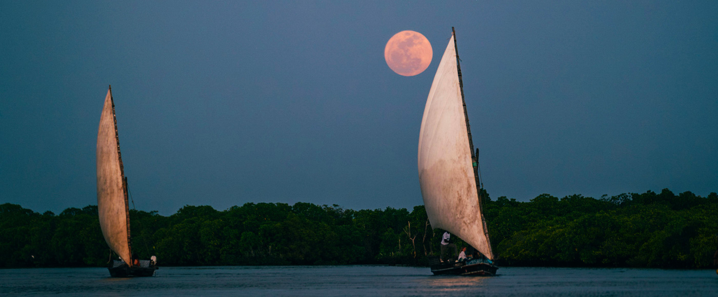 traditional dhow boats sailing at night under the full moon off Lamu in Kenya